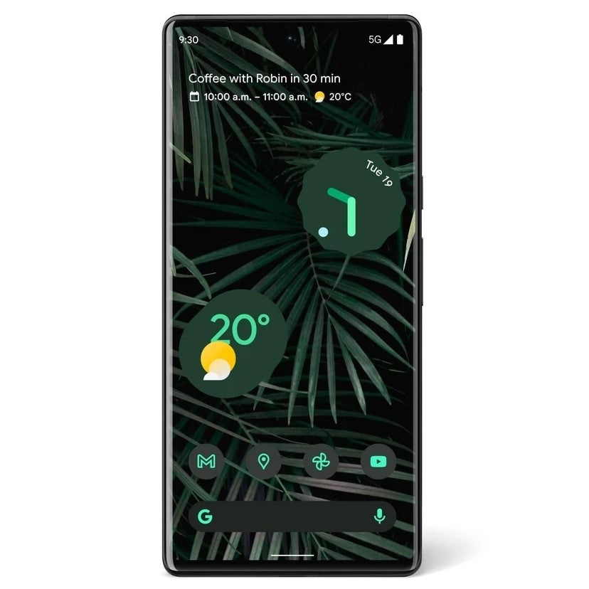 Google Pixel 6 Pro 5G (128GB, Stormy Black, Special Import)