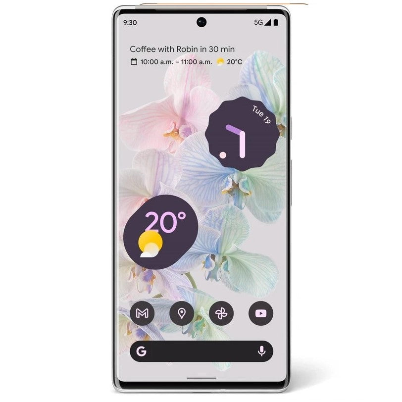 Google Pixel 6 Pro 5G (128GB, Cloudy White, Special Import)